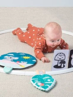 Cerceau D'activités Koala TAFTOYS Beige - Taf Toys -Magasin De Jouets cerceau dactivites koala taftoys 2