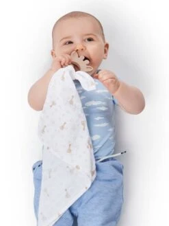 Coffret Lange + Anneau En Caoutchouc Sophie La Girafe - VULLI Beige - Sophie La Girafe -Magasin De Jouets coffret lange anneau en caoutchouc sophie la girafe vulli 2