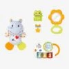 Coffret Naissance Eveil Des Sens VTECH Rose - Toutes Les Marques -Magasin De Jouets coffret naissance eveil des sens vtech