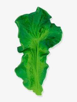 Jouet De Dentition Kendall La Feuille De Chou - OLI & CAROL Vert - Oli Et Carol -Magasin De Jouets jouet de dentition kendall la feuille de chou oli carol 5