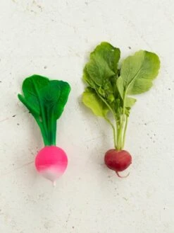 Jouet De Dentition Ramona Le Radis - OLI & CAROL Rose - Oli Et Carol -Magasin De Jouets jouet de dentition ramona le radis oli carol 5