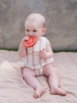 Renato La Tomate - OLI & CAROL Rouge - Oli Et Carol -Magasin De Jouets renato la tomate oli carol 2