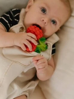 Valery La Framboise - OLI & CAROL Rouge - Oli Et Carol -Magasin De Jouets valery la framboise oli carol 2